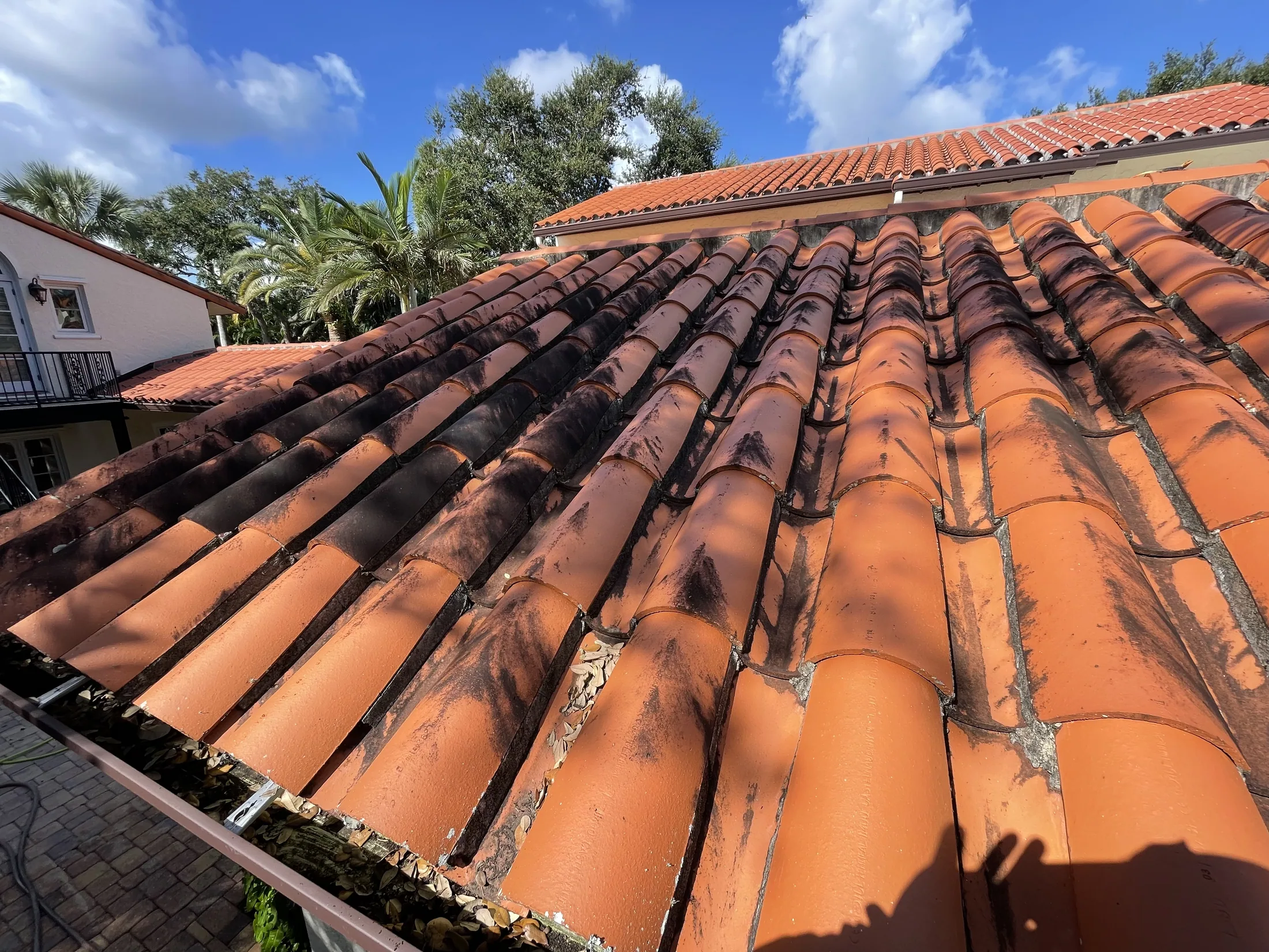 Close view of a stained terracotta tile roof before cleaning