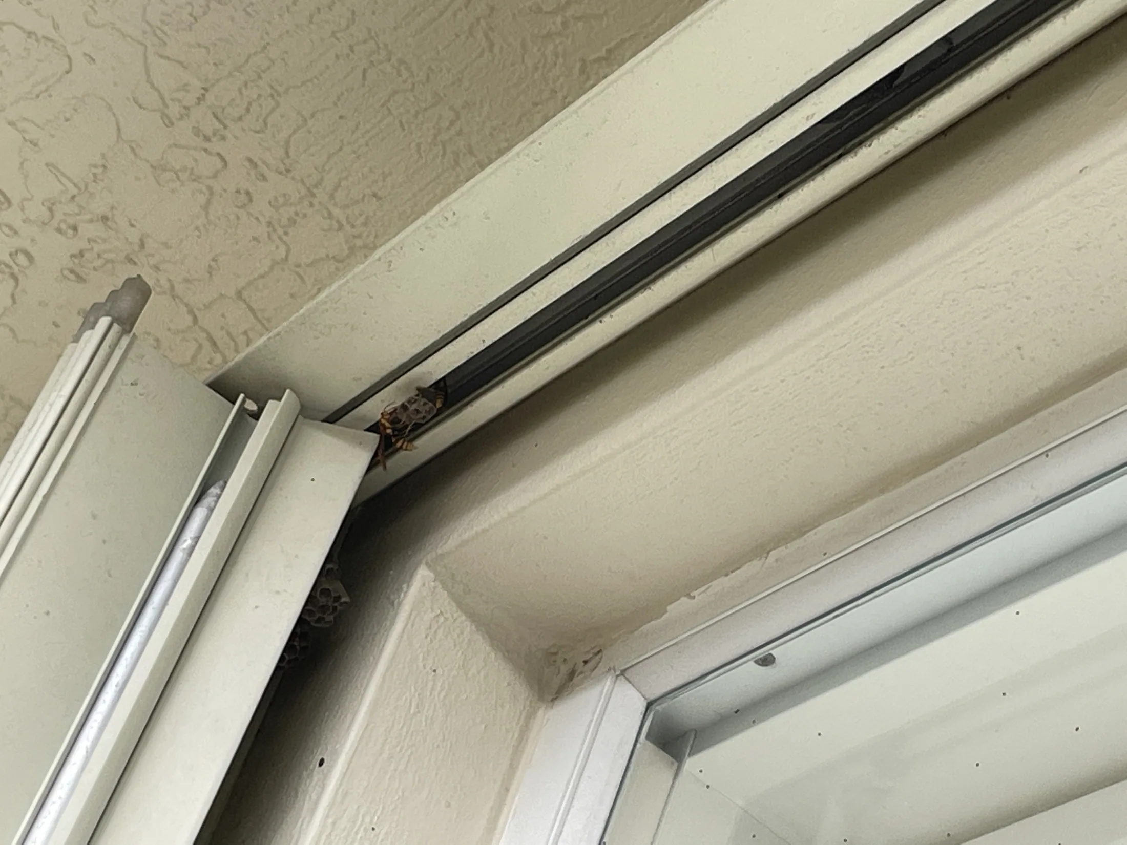 Close view of a garage door screen frame