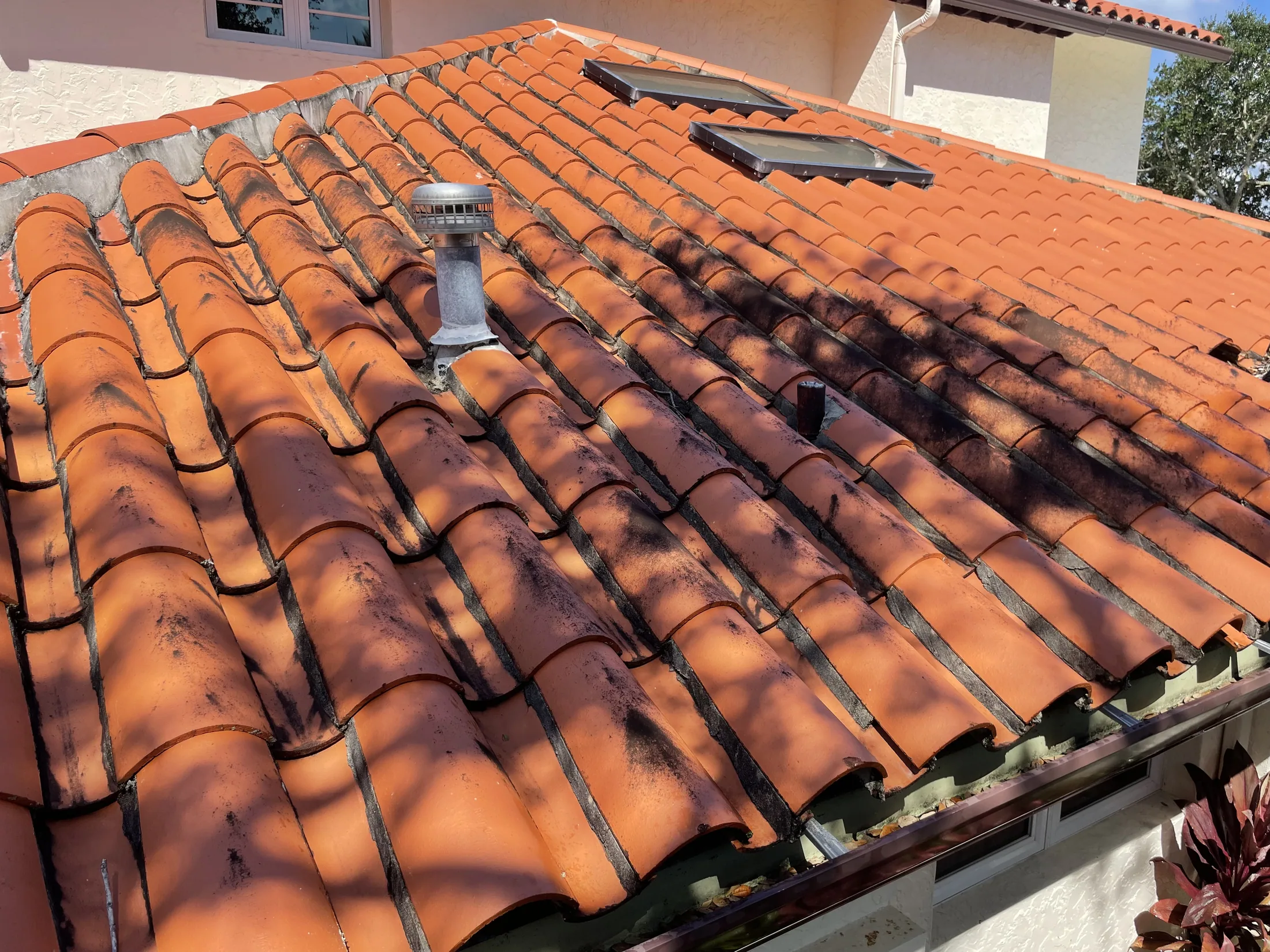 Stained terracotta roof before cleaning